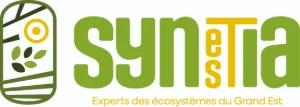 Collectif SYNESTIA