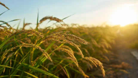 L'alimentation de demain : quels sont vos enjeux et vos priorités ? Vous avez la parole !