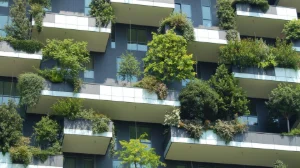 Bâtiment & Habitat