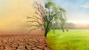 Plénière - Où nous mène le changement climatique en cours ?